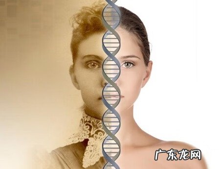 雀斑为什么会遗传 遗传性雀斑遗传几代人