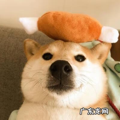 代表招财的名字 有哪些招财的名字