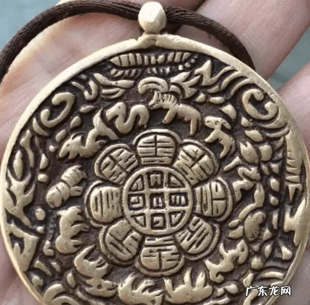 象鼻子鱼 风水象鼻子内卷带獠牙