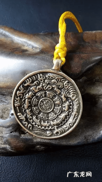 象鼻子鱼 风水象鼻子内卷带獠牙