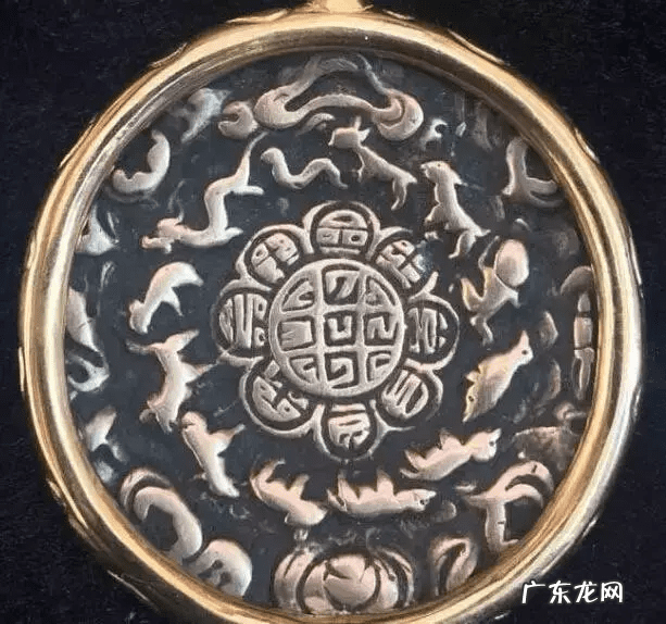 象鼻子鱼 风水象鼻子内卷带獠牙