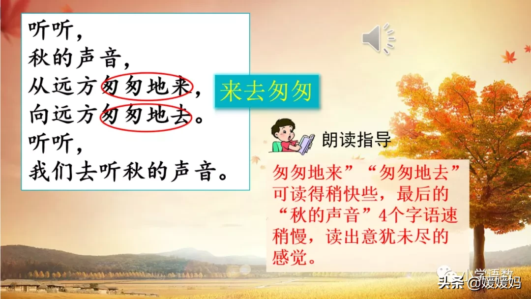 蟋蟀的蟋组词两个字 蟋蟀的蟋组词词语