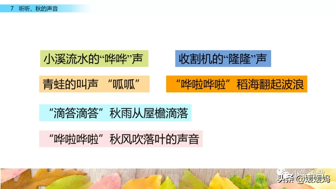 蟋蟀的蟋组词两个字 蟋蟀的蟋组词词语