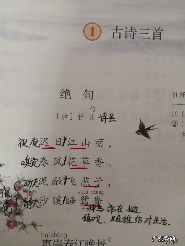 苇的组词 荆的组词怎么组