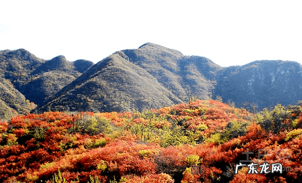 风水中阴性的东西指什么 阴风水解析
