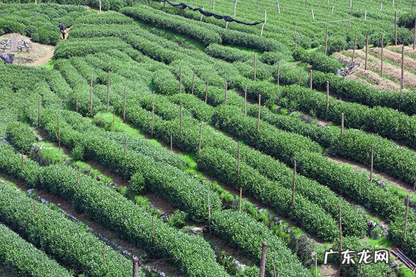 风水的风是指什么 风下云栖风水