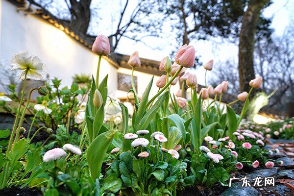风水的风是指什么 风下云栖风水