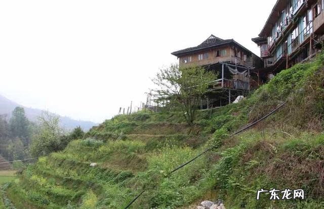 龙脊梯田图片高清 龙脊梯田旅游路线