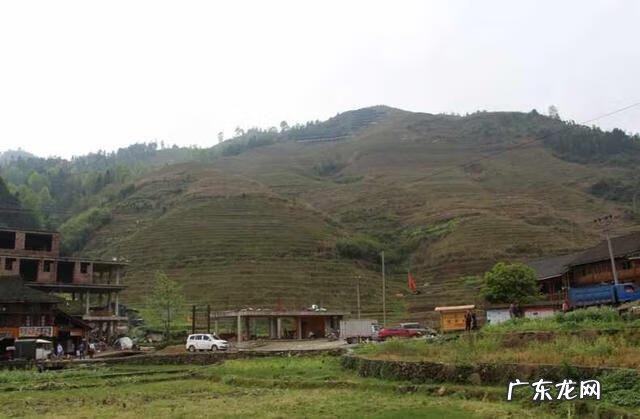 龙脊梯田图片高清 龙脊梯田旅游路线