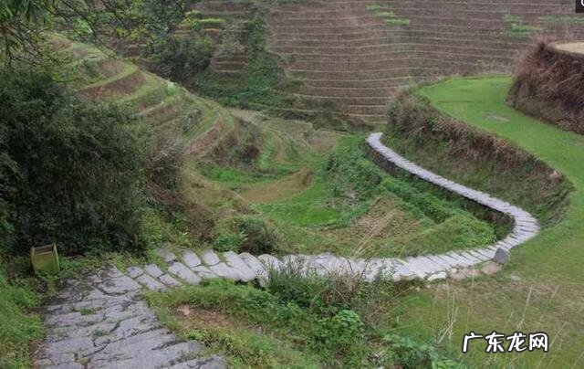 龙脊梯田图片高清 龙脊梯田旅游路线