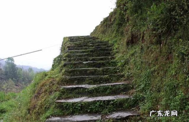 龙脊梯田图片高清 龙脊梯田旅游路线
