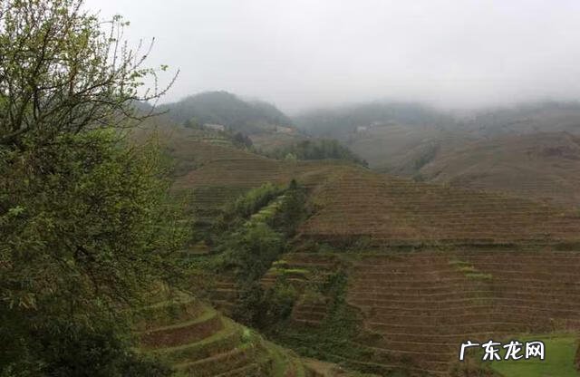 龙脊梯田图片高清 龙脊梯田旅游路线