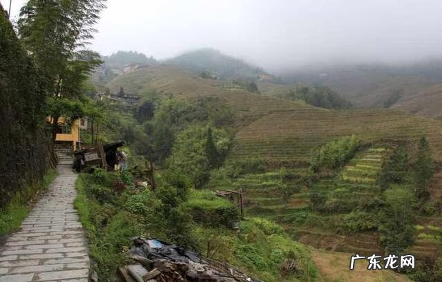 龙脊梯田图片高清 龙脊梯田旅游路线