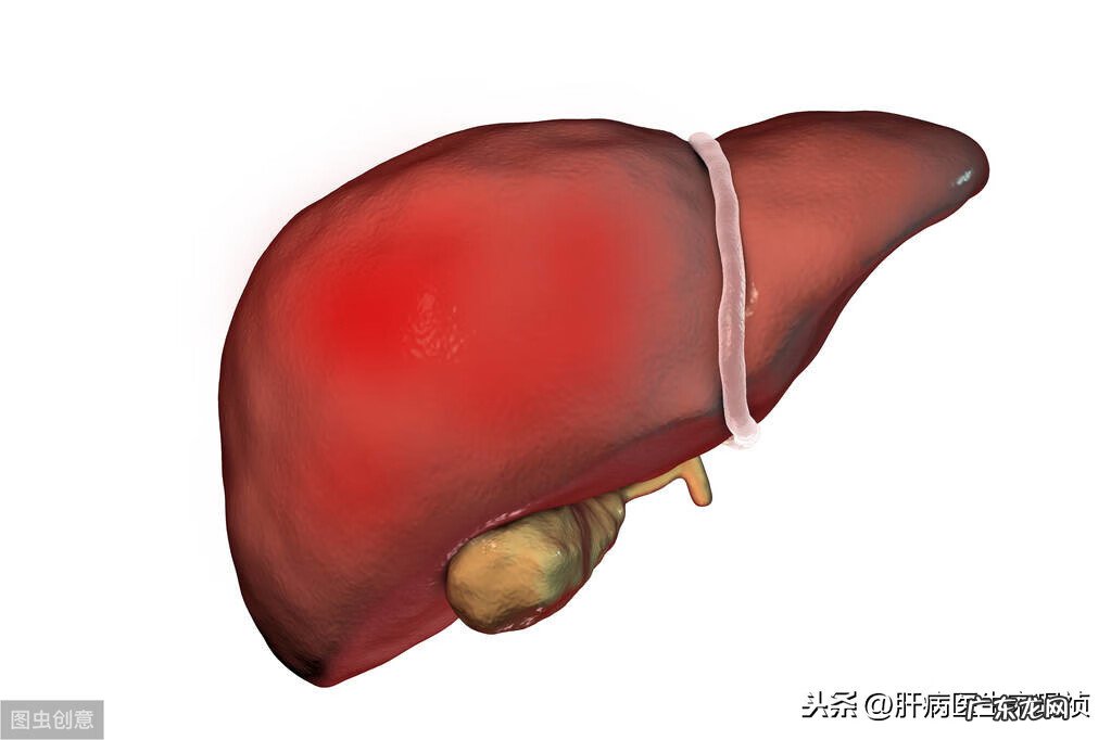 甲胎蛋白正常参考值 甲胎蛋白正常值?