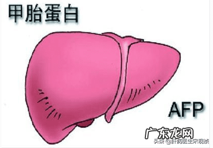 甲胎蛋白正常参考值 甲胎蛋白正常值?