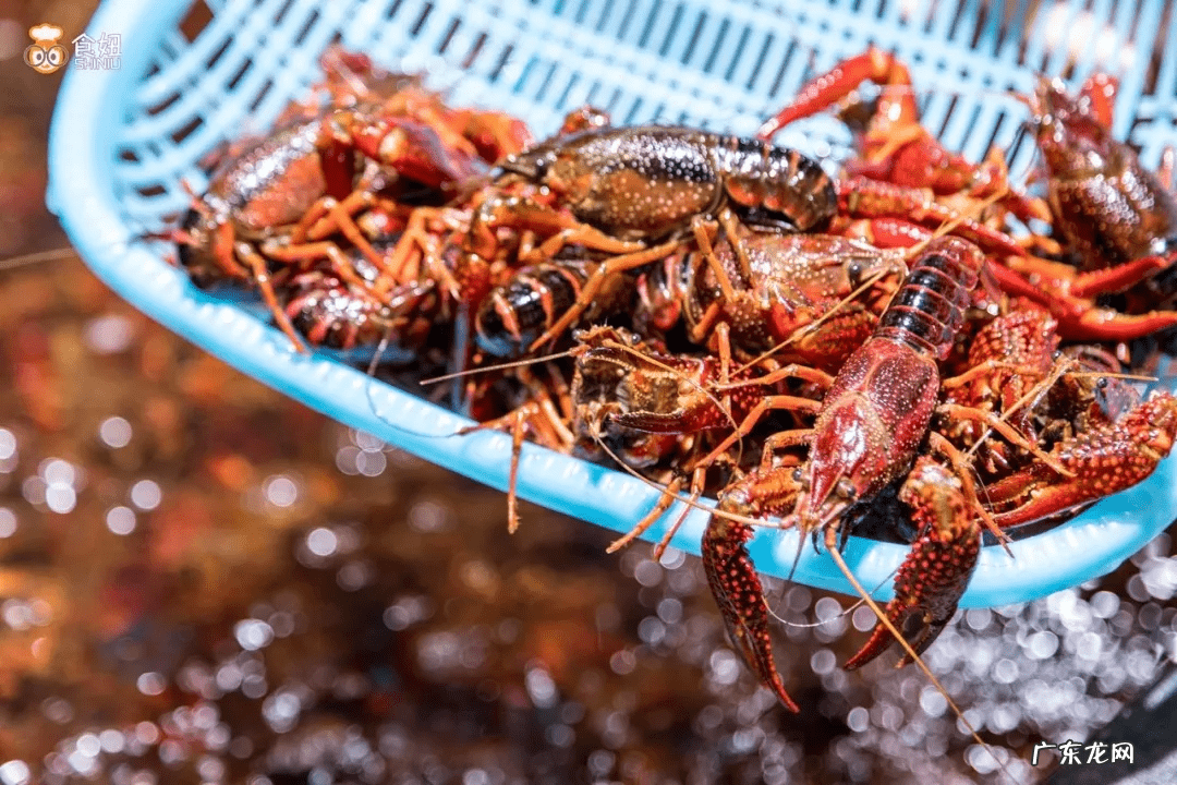 首充100送100 超市充100送100