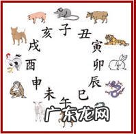 龙地风水 风水地龙是什么意思