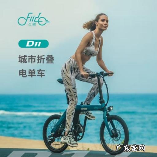 折叠电动自行车品牌 轻便折叠电动自行车推荐