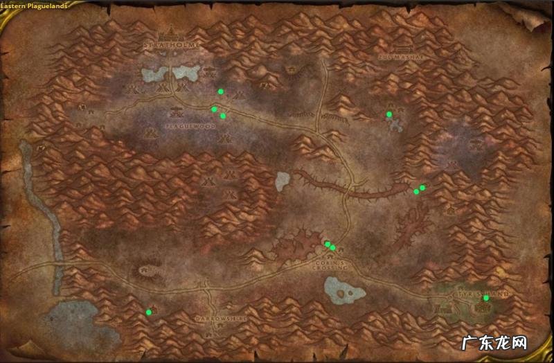 盲目草多少可以采集 盲目草分布图