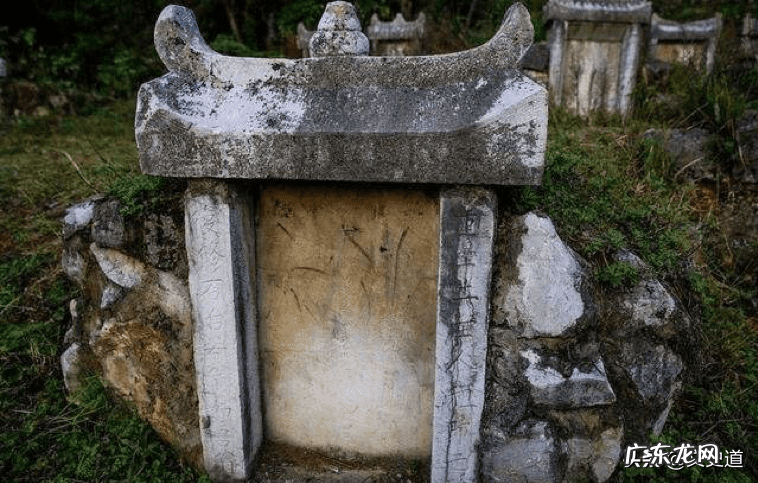 坟地栽了九棵柏树行吗 坟上栽柏树好不好