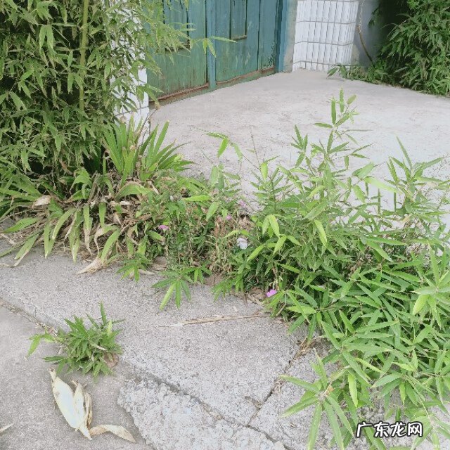 农村别墅风水 看农村风水