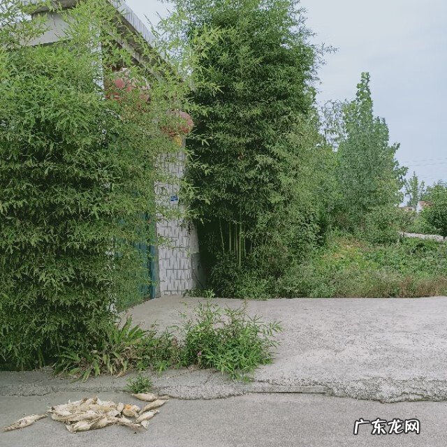 农村别墅风水 看农村风水