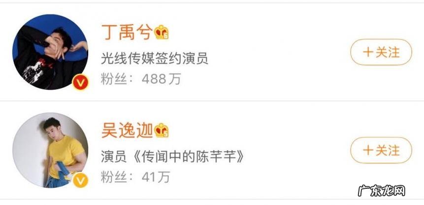 丁禹兮被网暴,合理吗 丁禹兮为什么没有爆