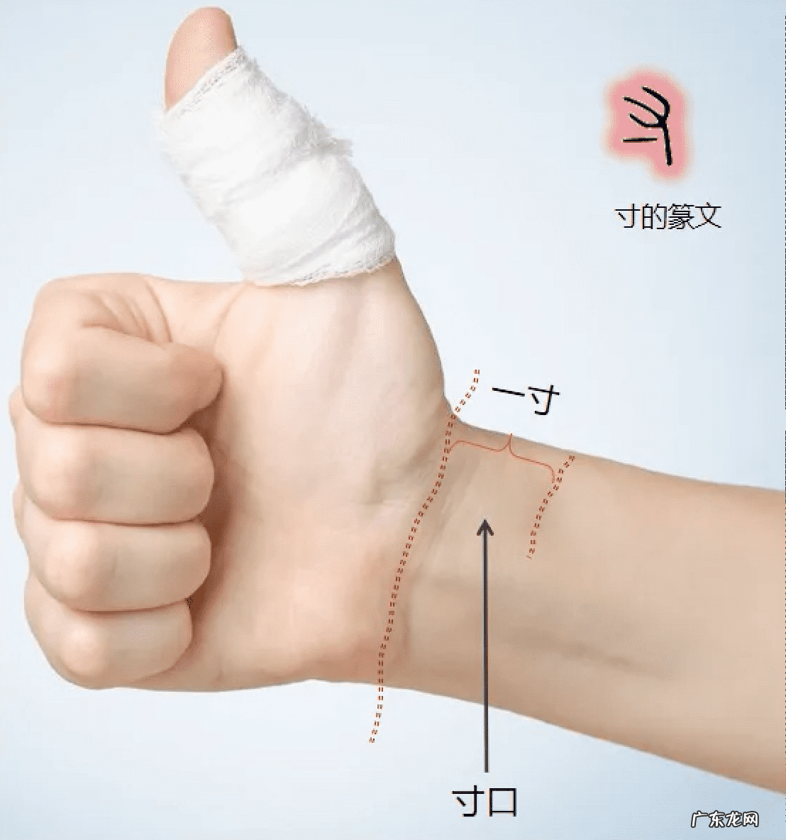 2.4尺等于多少厘米 2尺4是多少厘米长度