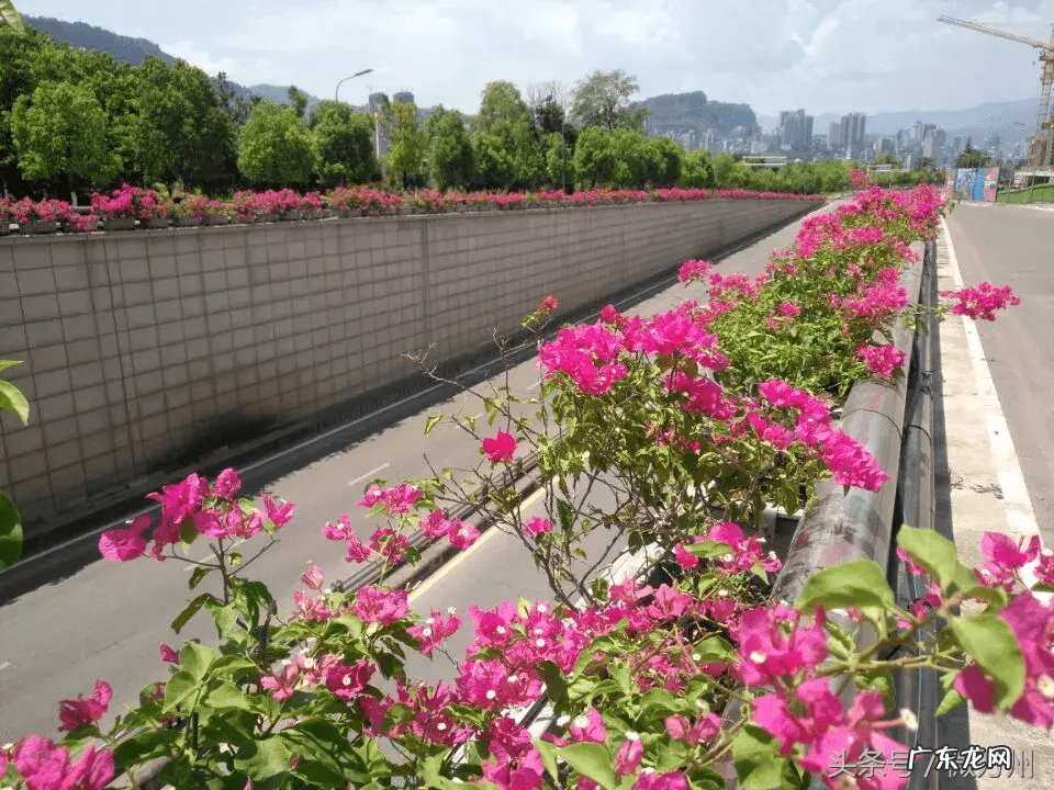 重庆江北离万州多远 重庆万州江北江南风水