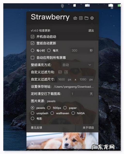 电脑壁纸软件哪个好用免费 好用的电脑壁纸软件推荐