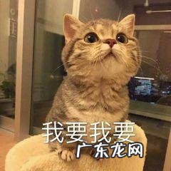 word文档怎么排版图片 word的十种排版技术