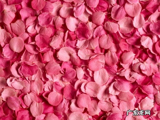 民间去皱偏方 美容养颜的偏方