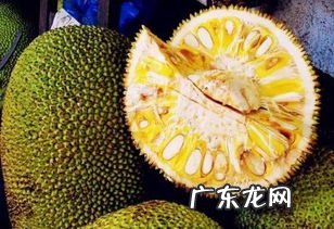 菠萝蜜里面的籽煮熟能吃吗 菠萝蜜的籽怎么煮才好吃对身体好吗?