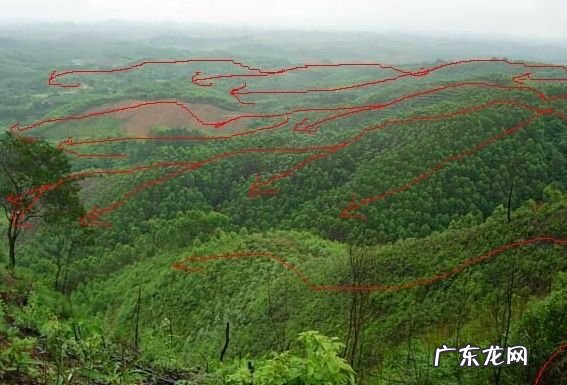 坐丙向壬风水详解 坐丙向壬风水好不好