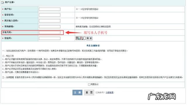报名在线网 网上报考
