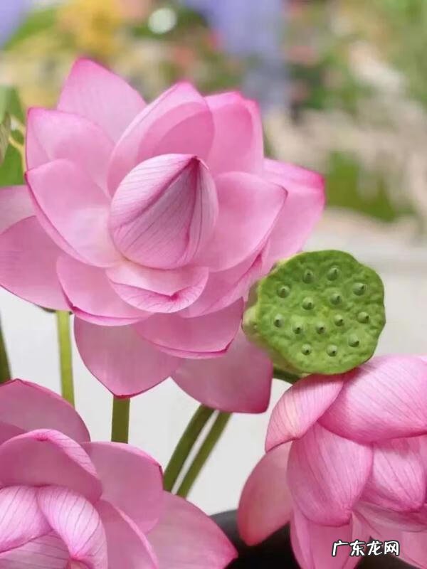 小时代1电影免费观看完整版高清 xiaoshidai