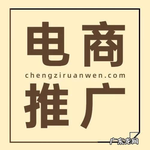 电子商务网站推广方式 电子商务推广方式