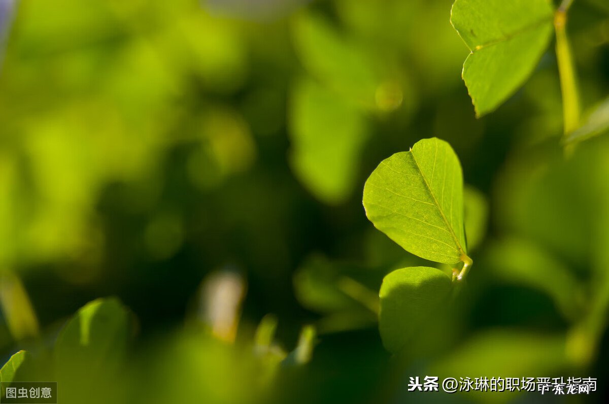 有些人爱自言自语 爱自言自语对风水好吗