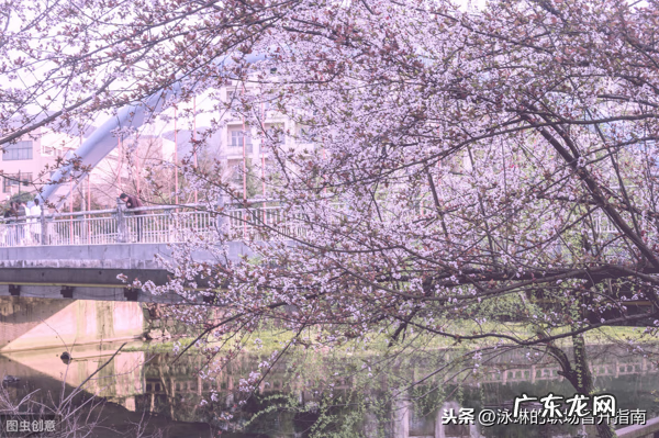 有些人爱自言自语 爱自言自语对风水好吗