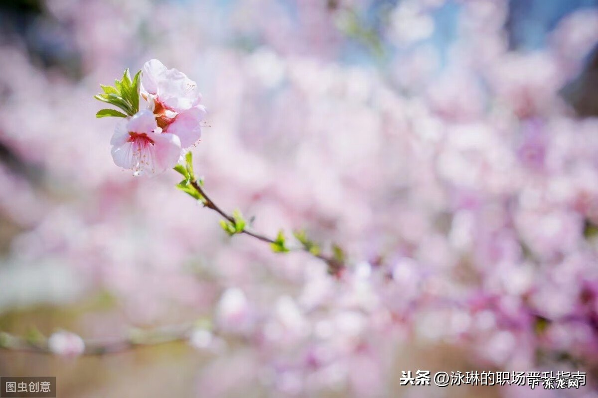 有些人爱自言自语 爱自言自语对风水好吗