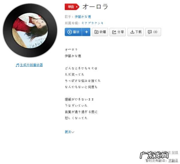 歌词翻译领域 歌词翻译工作