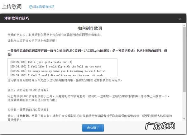 歌词翻译领域 歌词翻译工作