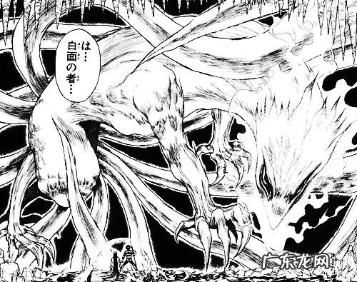 狐妖传说故事 妖狐传说日漫