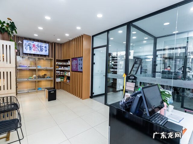 开宠物店基本要懂的 宠物用品店怎么开