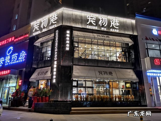 开宠物店基本要懂的 宠物用品店怎么开