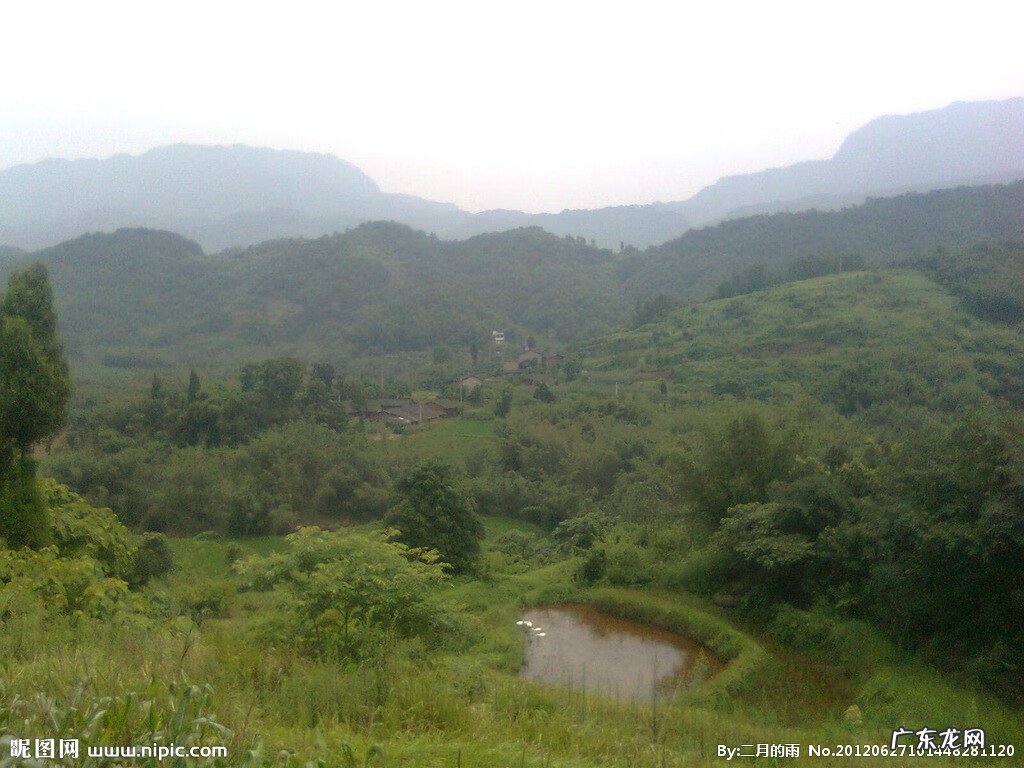 人工孵化鸡蛋 风水宝地母鸡孵蛋的风水