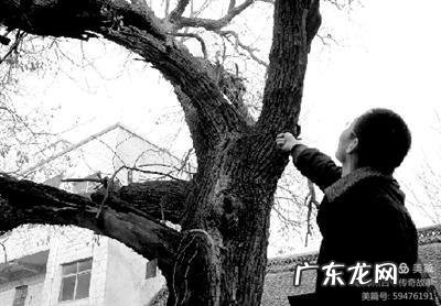 白王庄村 2022王庄村风水