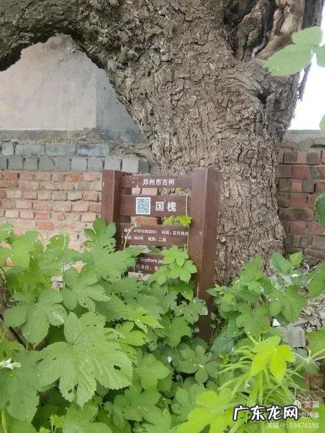 白王庄村 2022王庄村风水