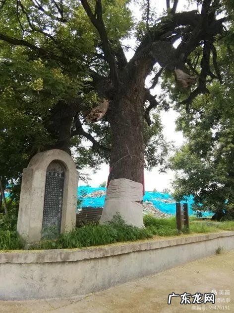 白王庄村 2022王庄村风水