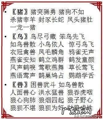 十个表示快的成语 快的成语有哪些